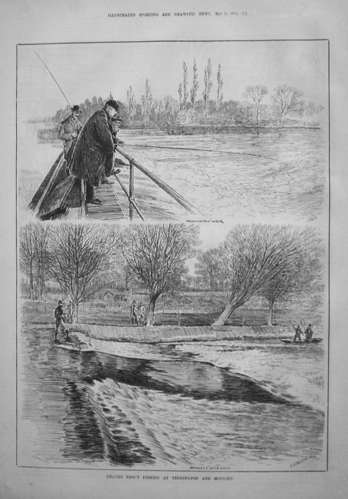 Thames Trout Fishing at Teddington and Moulsey. 1885