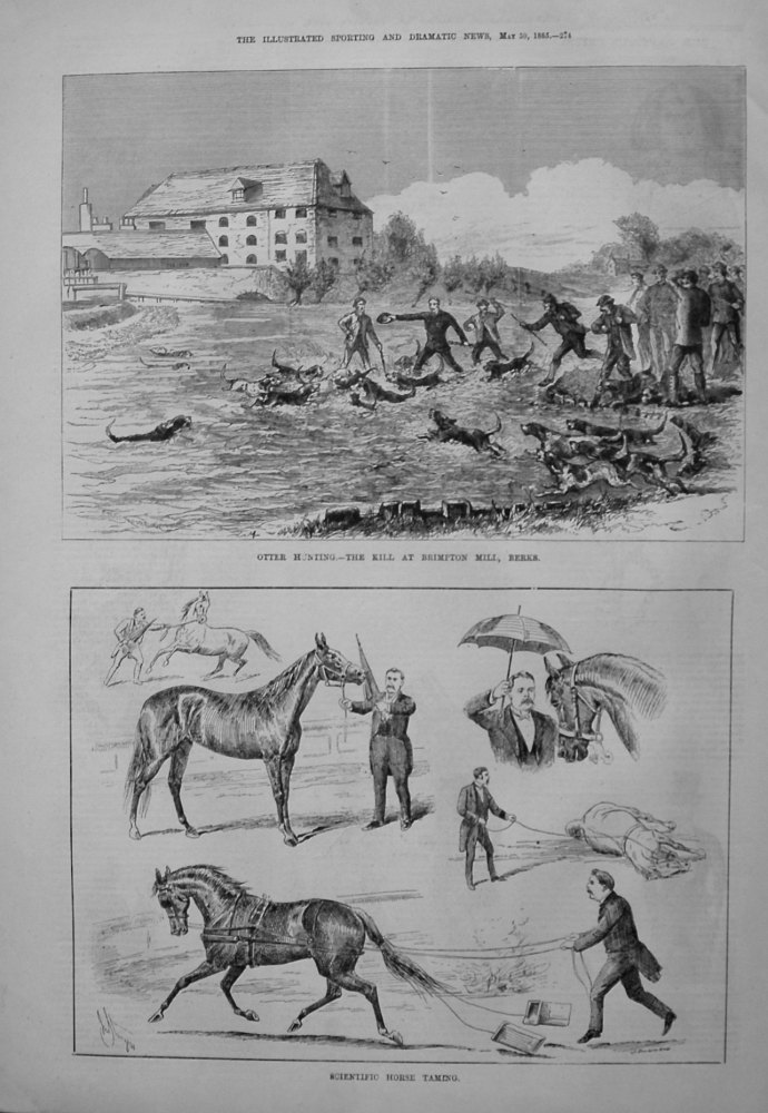 Otter Hunting. - The Kill At Brimpton Mill, Berks. 1885