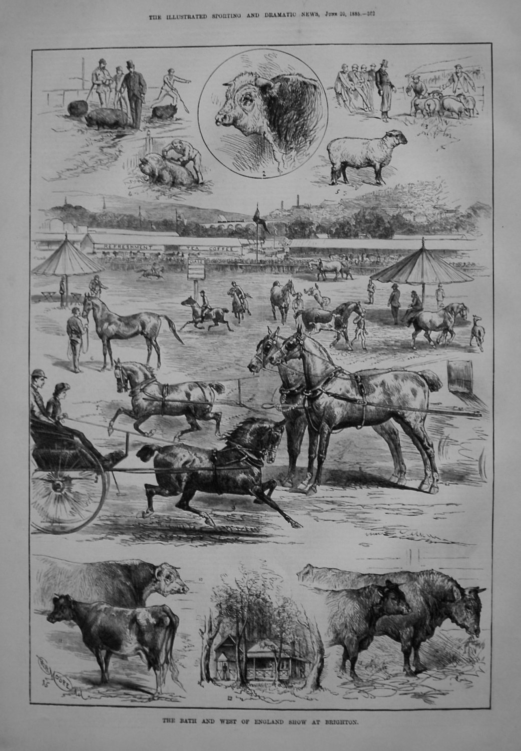 Bath and West of England Show at Brighton. 1885