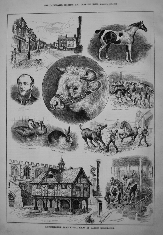 Leicestershire Agricultural Show at Market Harborough. 1885