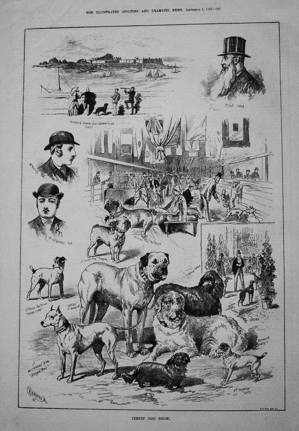 Jersey Dog Show. 1885