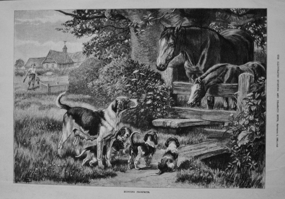 Hunting Prospects. 1885