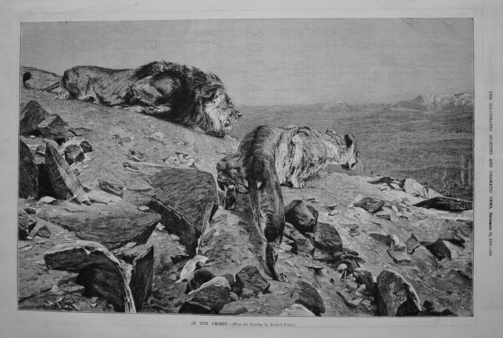 In The Desert. (From the Painting by Richard Friese.) 1885