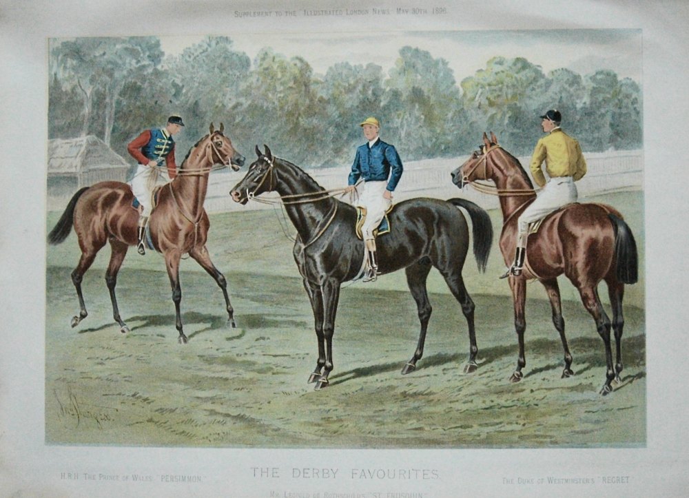 The Derby Favourites. 1885