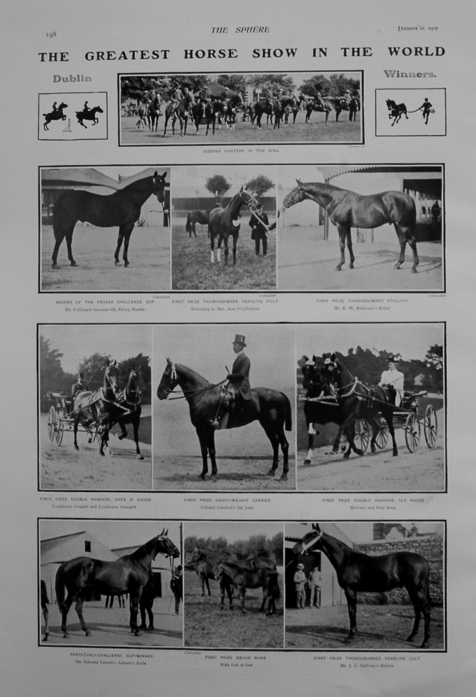 Greatest Horse Show in the World. 1907. (Dublin).