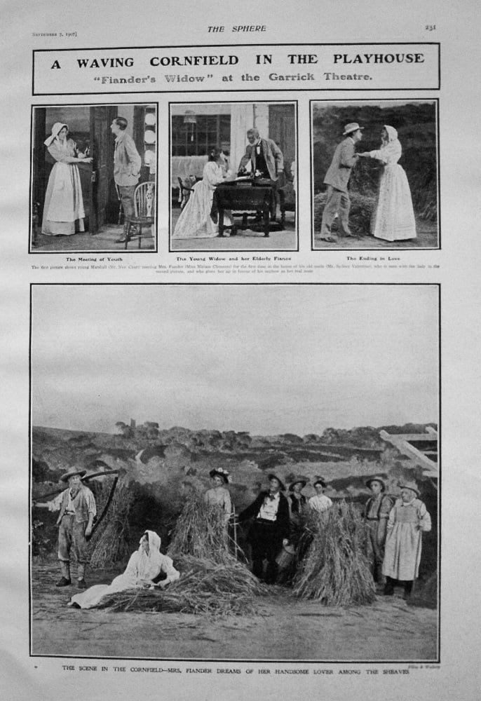 A Waving Cornfield in the Playhouse. "Fiander's Widow" at the Garrick Theatre. 1907