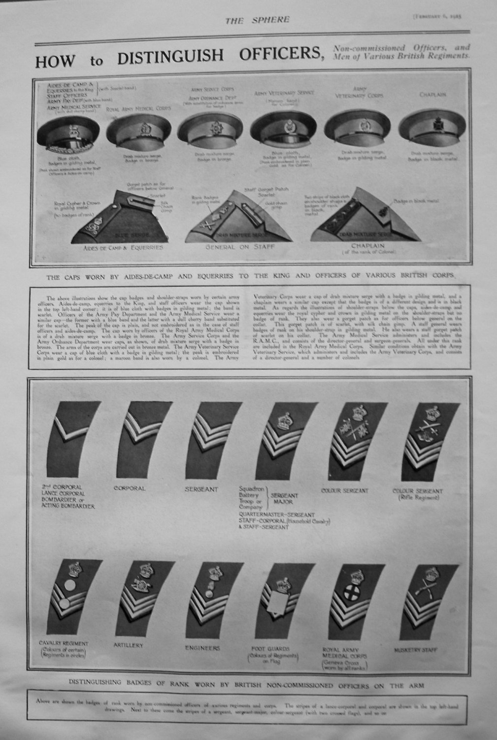 How to Distinguish Officers, Non-commissioned Officers, and Men of Various 