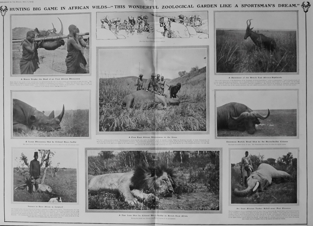 Hunting Big Game in African Wilds. 1907
