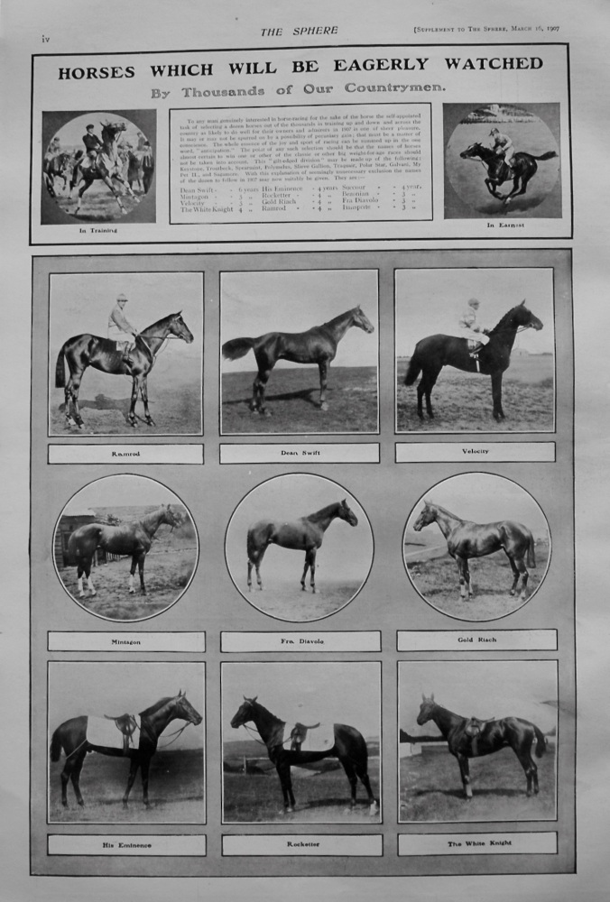 Horses which will be eagerly Watched by Thousands of Our Countrymen. 1907