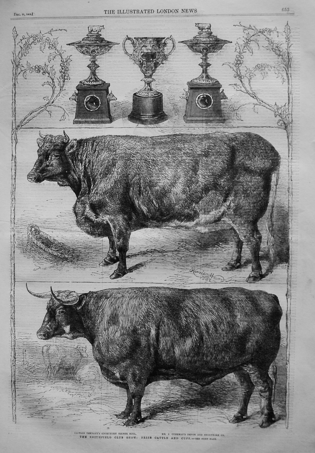 The Smithfield Club Show : Prize Cattle and Cups. 1862.