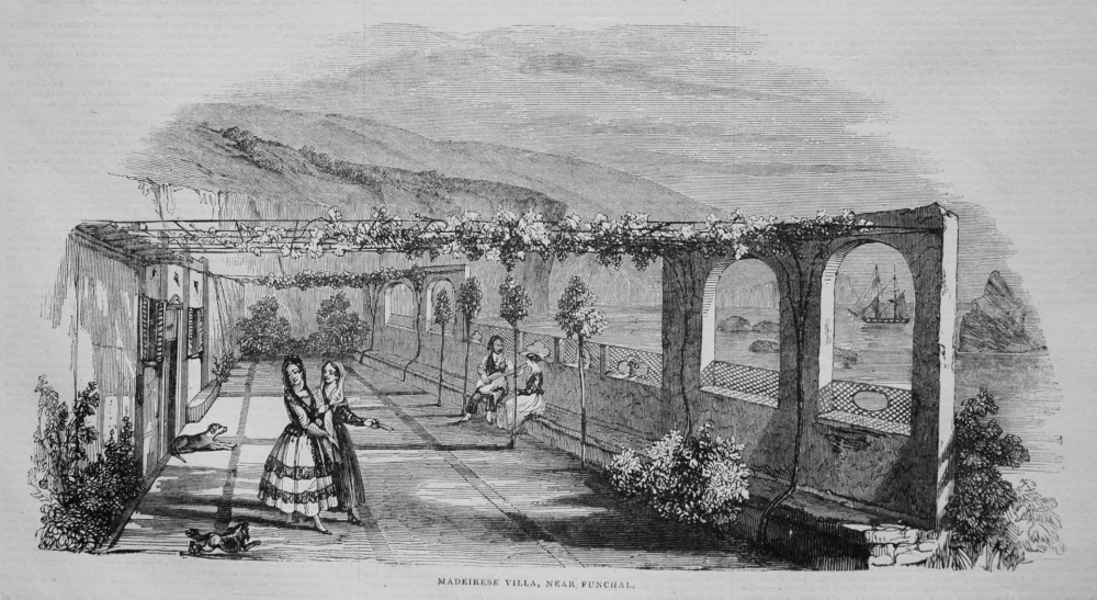 Madeirese Villa, near Funchal. 1845.