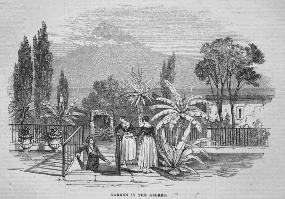 Garden in the Azores. 1845