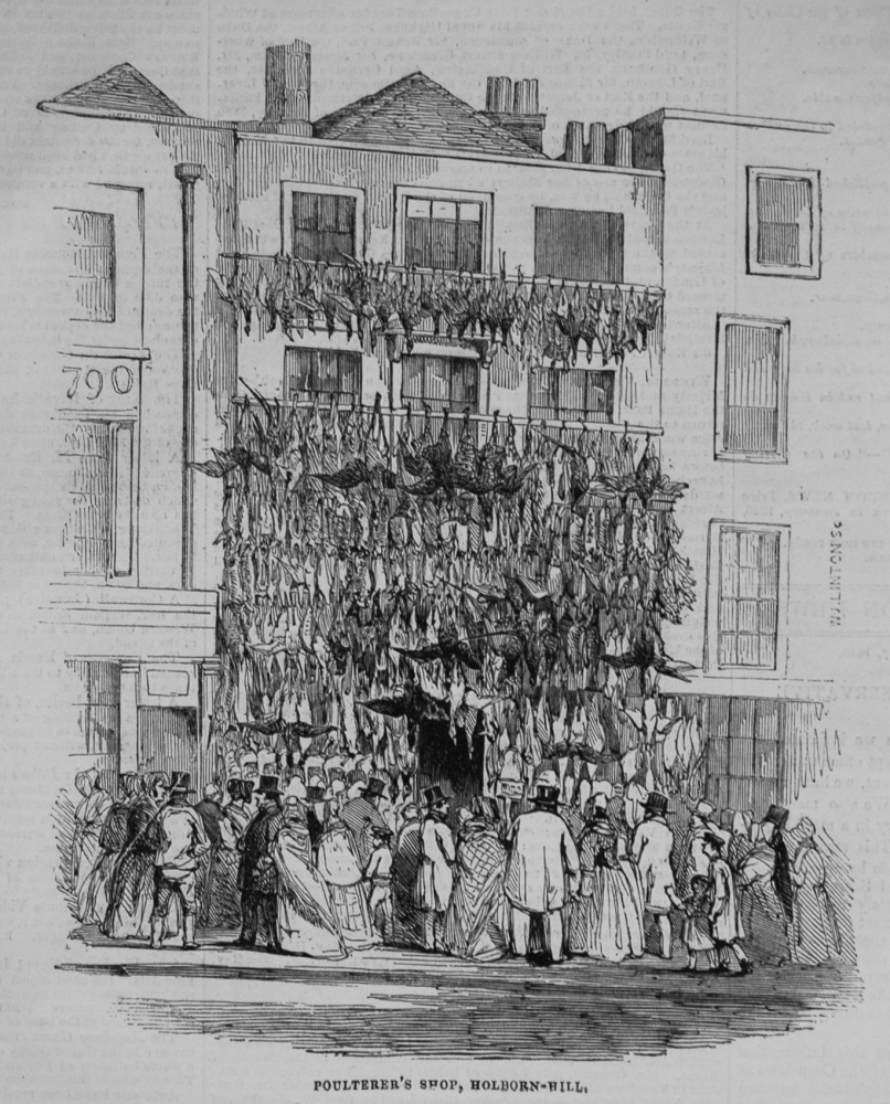 Poulterer's Shop, Holborn-Hill. 1845