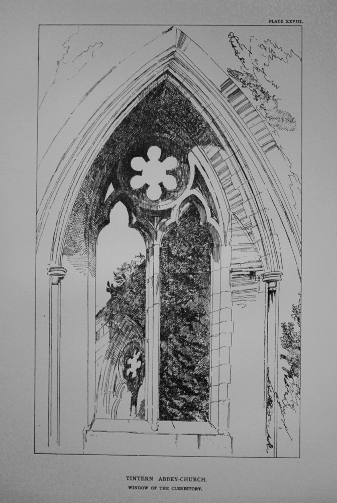 Tintern Abbey-Church. Window of the Clerestory. 1881