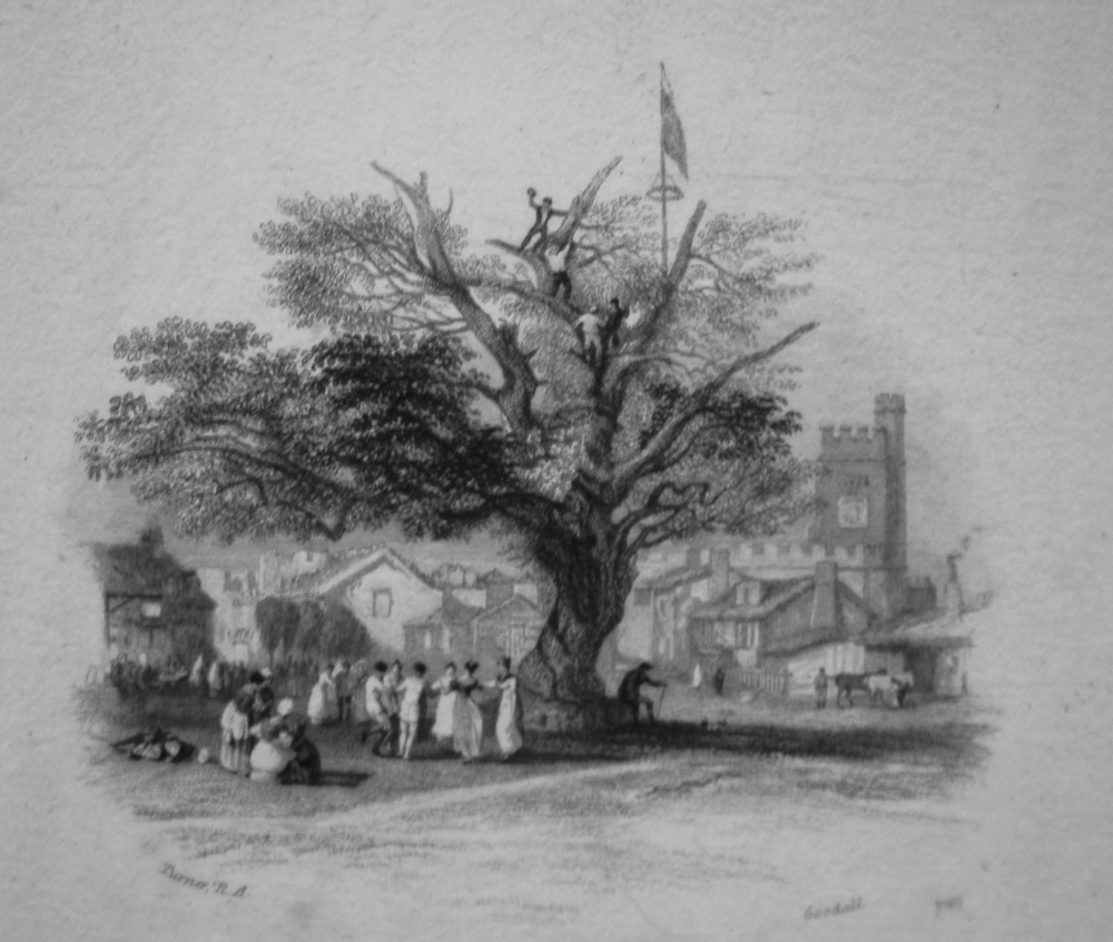 An Old Oak. 1833