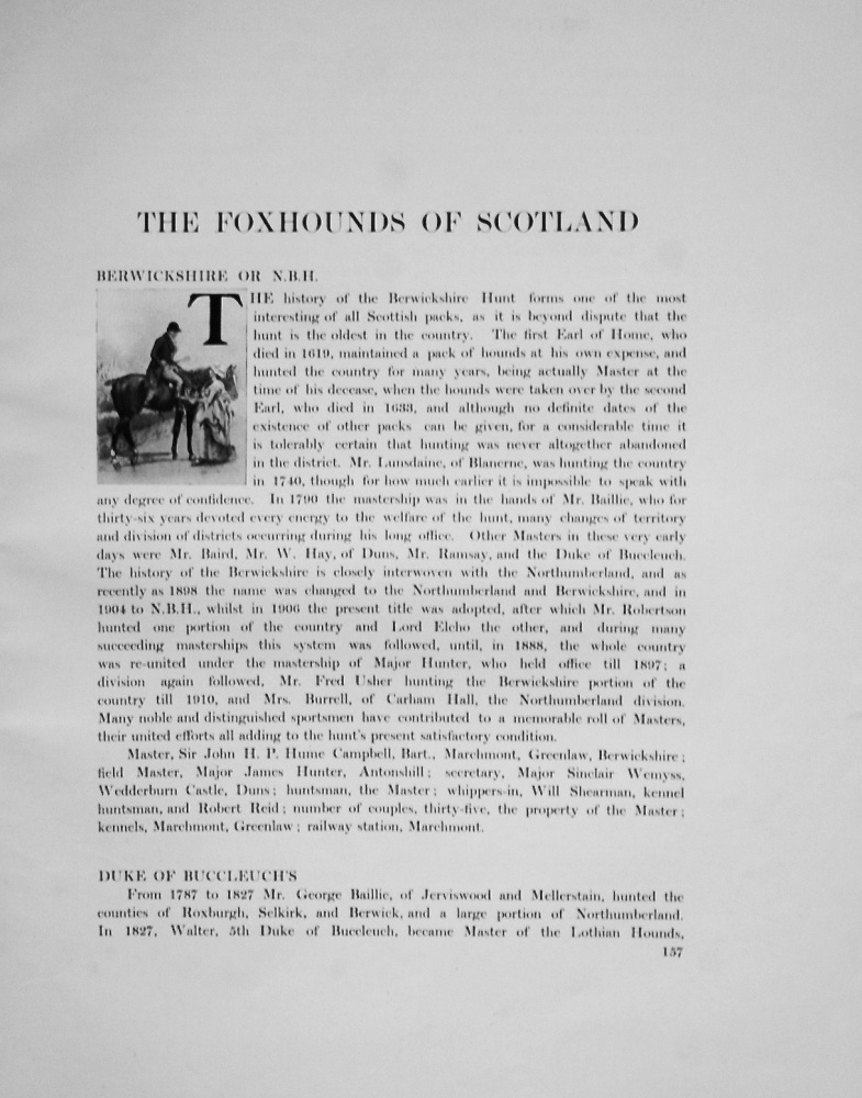 Foxhounds of Scotland.