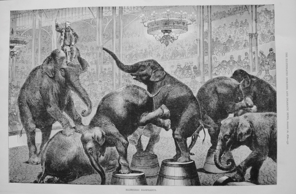 Eccentric Elephants. 1876