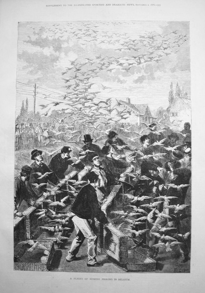 A Flight of Homing Pigeons in Belgium. 1876