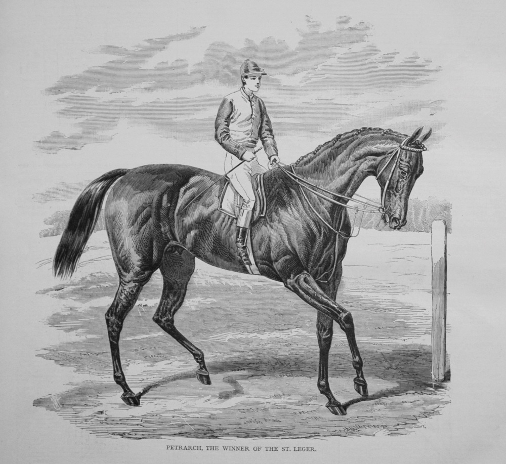 Petrarch, the Winner of the St. Leger. 1876