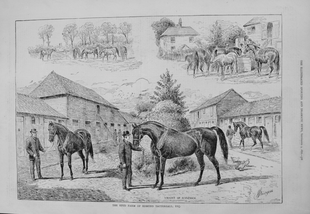 The Stud Farm of Edmund Tattersall, Esq. 1876