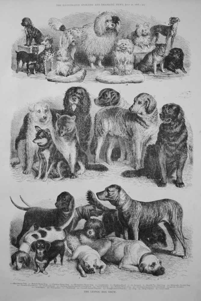 The Leipsic Dog Show. 1876