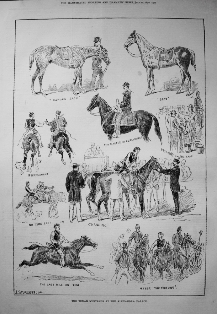 The Texan Mustangs at the Alexandra Palace. 1876