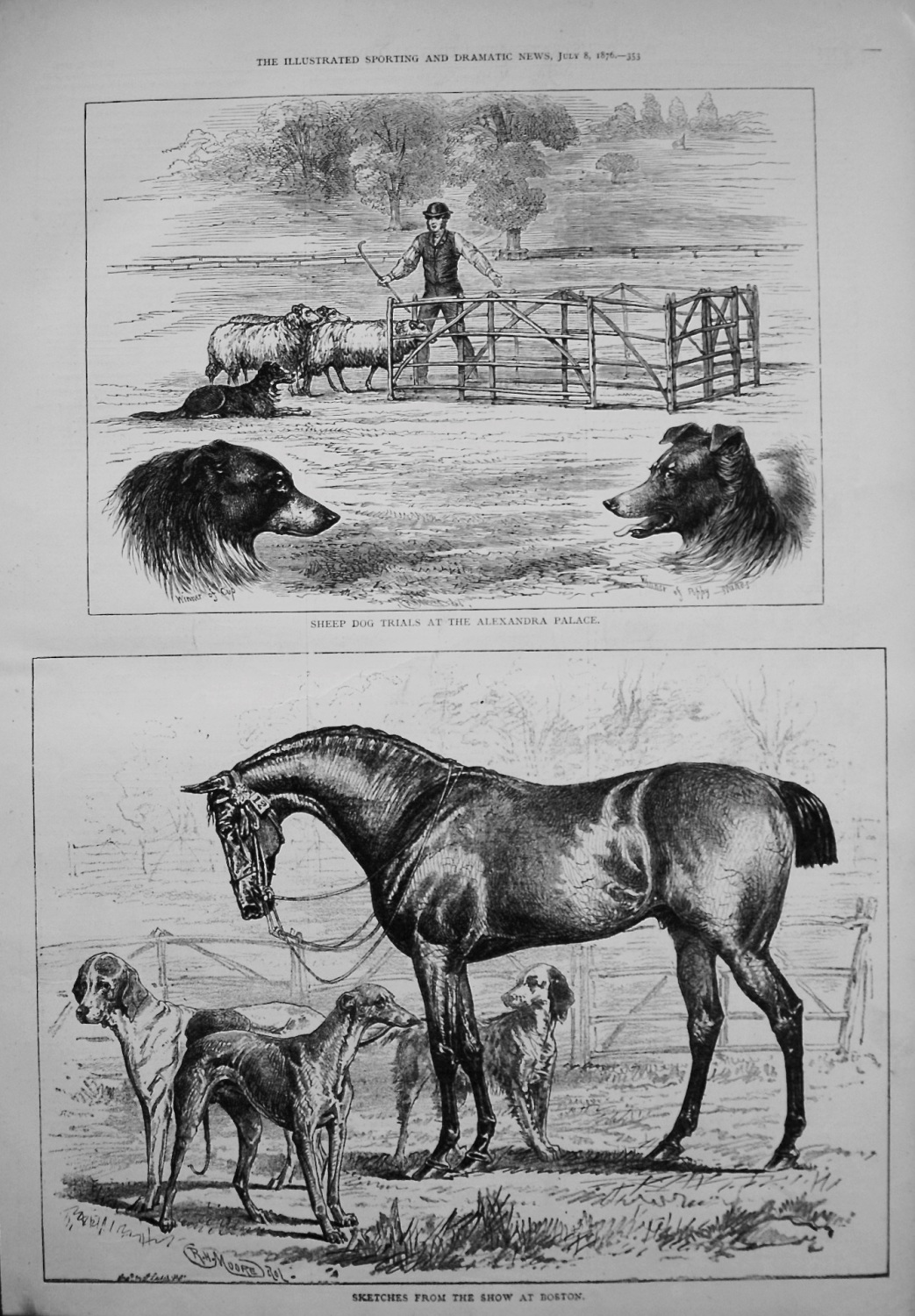 Sheep Dog Trials at the Alexandra Palace. 1876