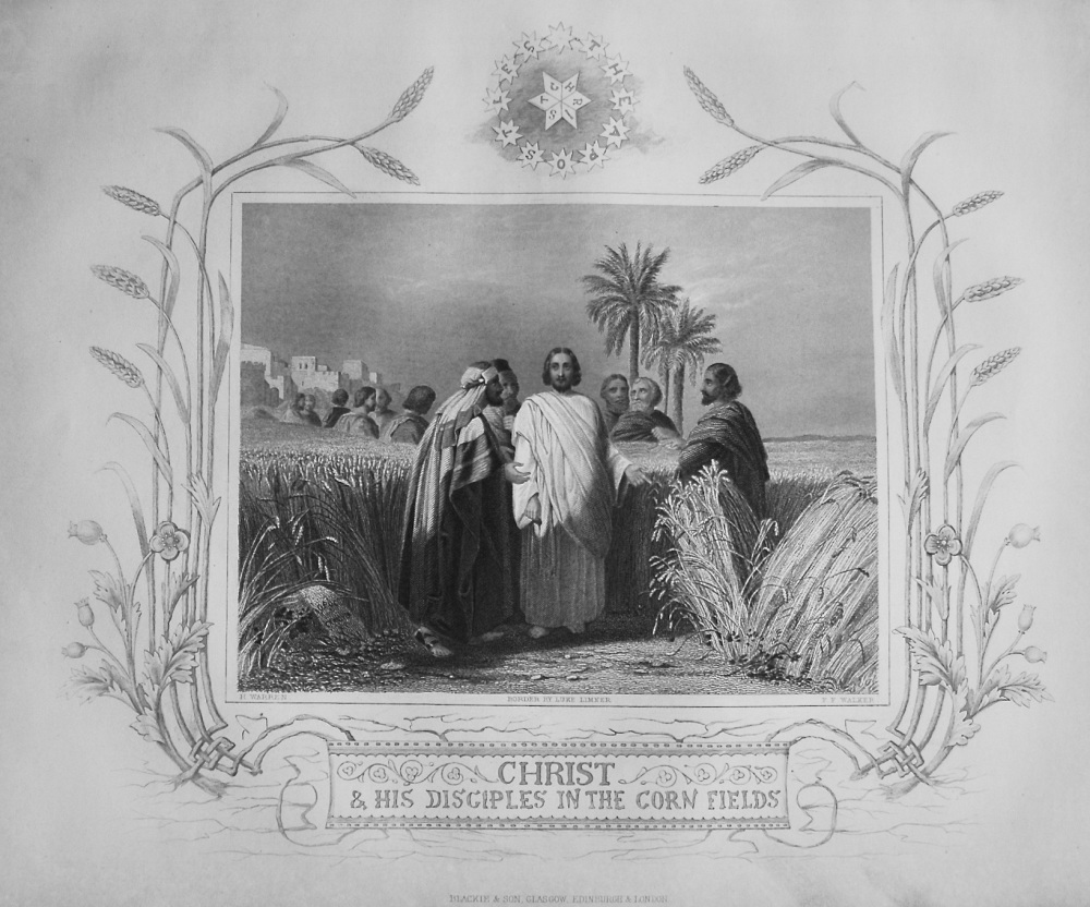 Christ and His Disciples in the Corn Fields.