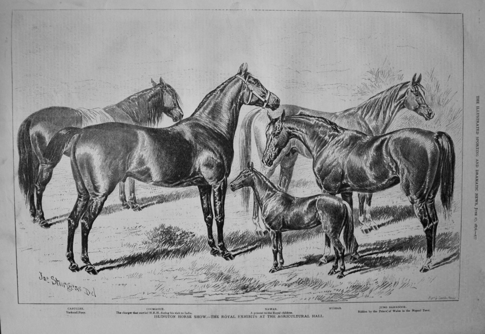 Islington Horse Show.- the Royal Exhibits at the Agricultural Hall. 1876.