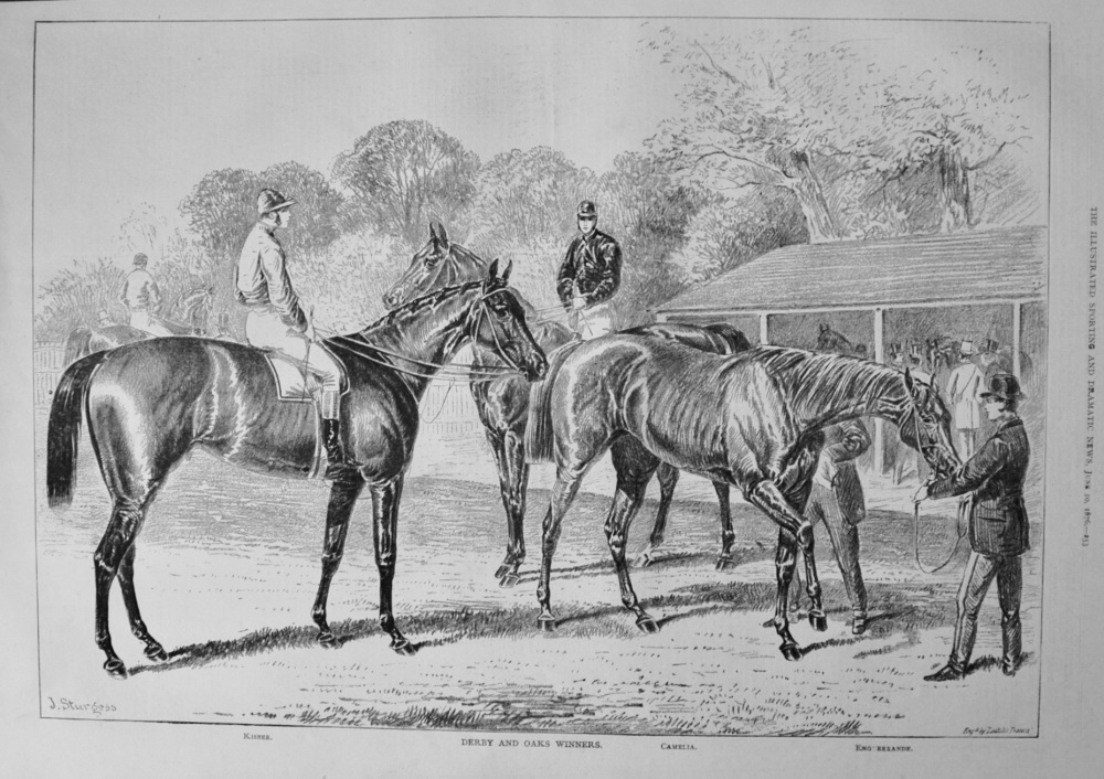Derby and Oaks Winners. 1876