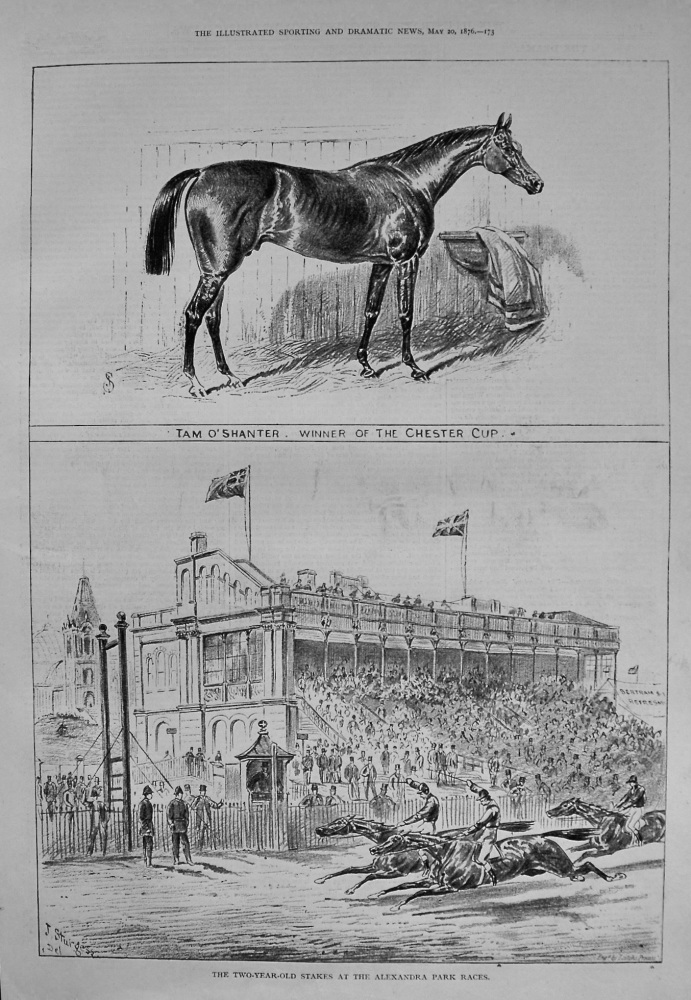 The Two-Year-Old Stakes at the Alexandra Park Races. 1876