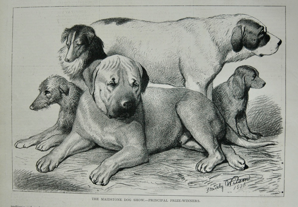 The Maidstone Dog Show.- Principal Prize-Winners. 1876