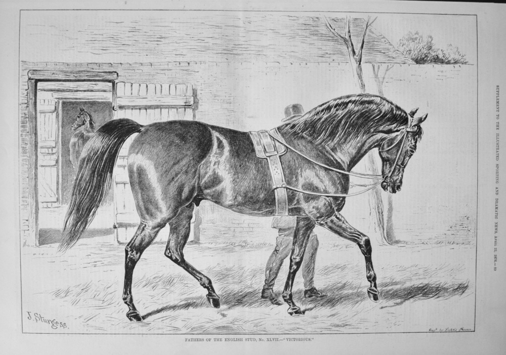 Fathers of the English Stud, No. XLVII.- "Victorious." 1876