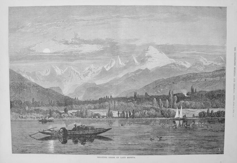Shooting Grebe on Lake Geneva. 1876