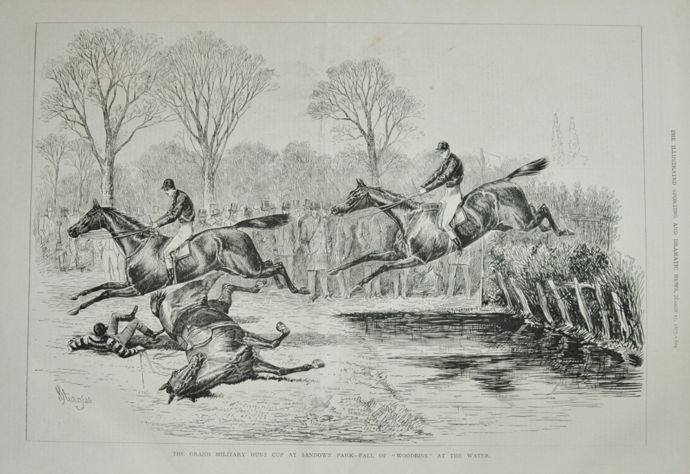 The Grand Military Hunt Cup at Sundown Park-Fall of "Woodbine" at the Water. 1877