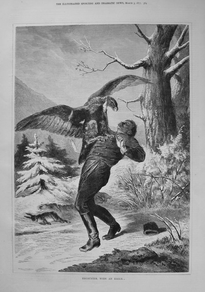 Encounter with an Eagle. 1877