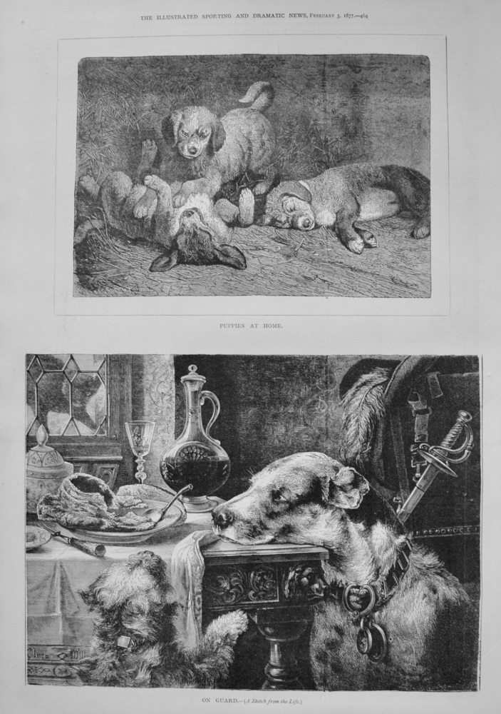 "On Guard" and "Puppies at Home." 1877