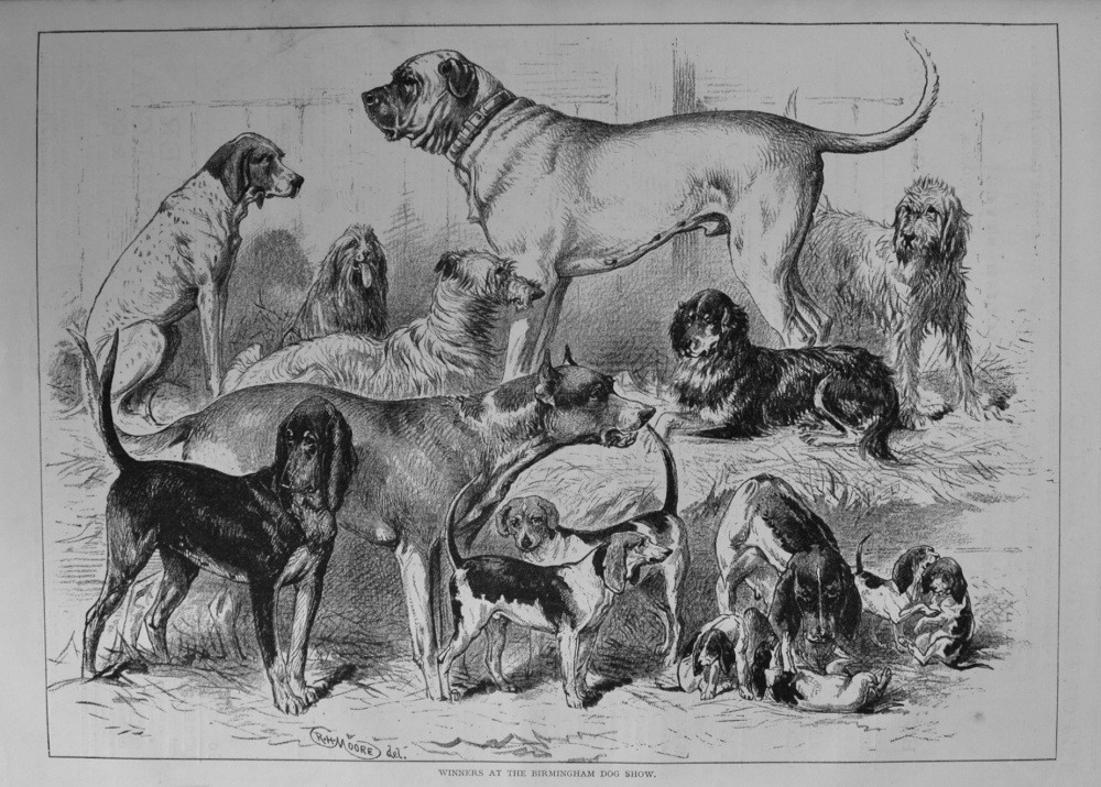 Winners at the Birmingham Dog Show. 1876