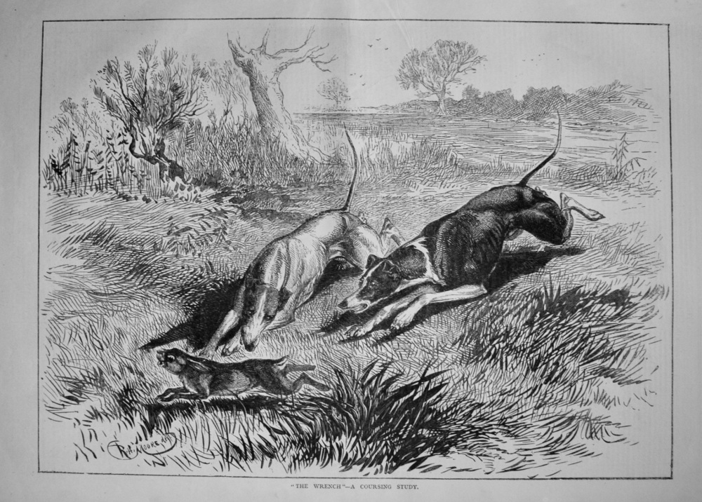 "The Wrench" -A Coursing Study. 1877