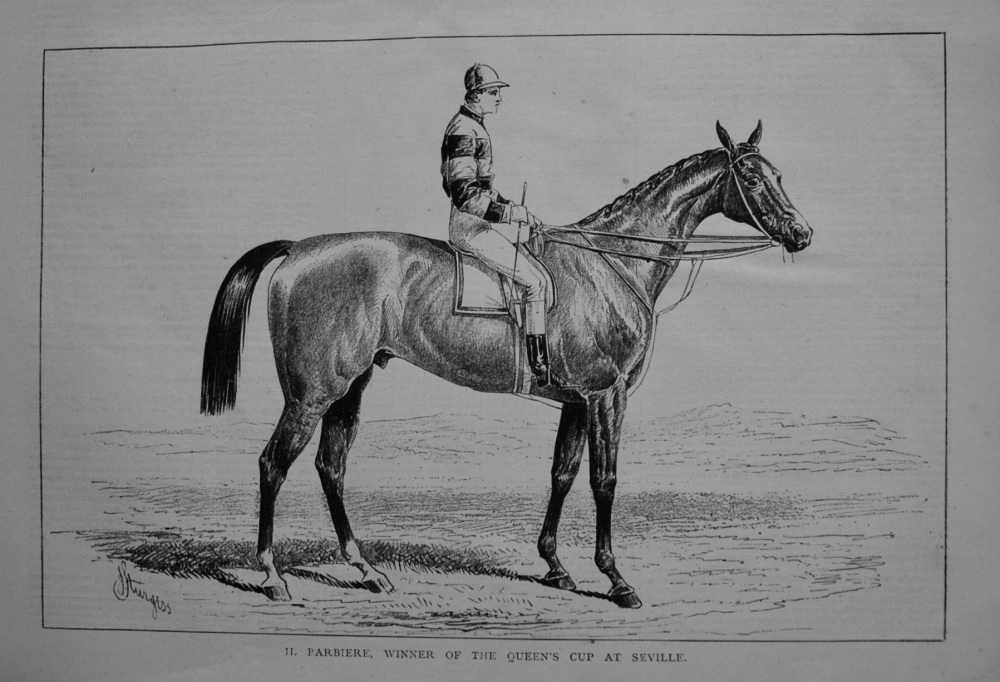 IL Parbiere, winner of the Queen's Cup at Seville. 1877