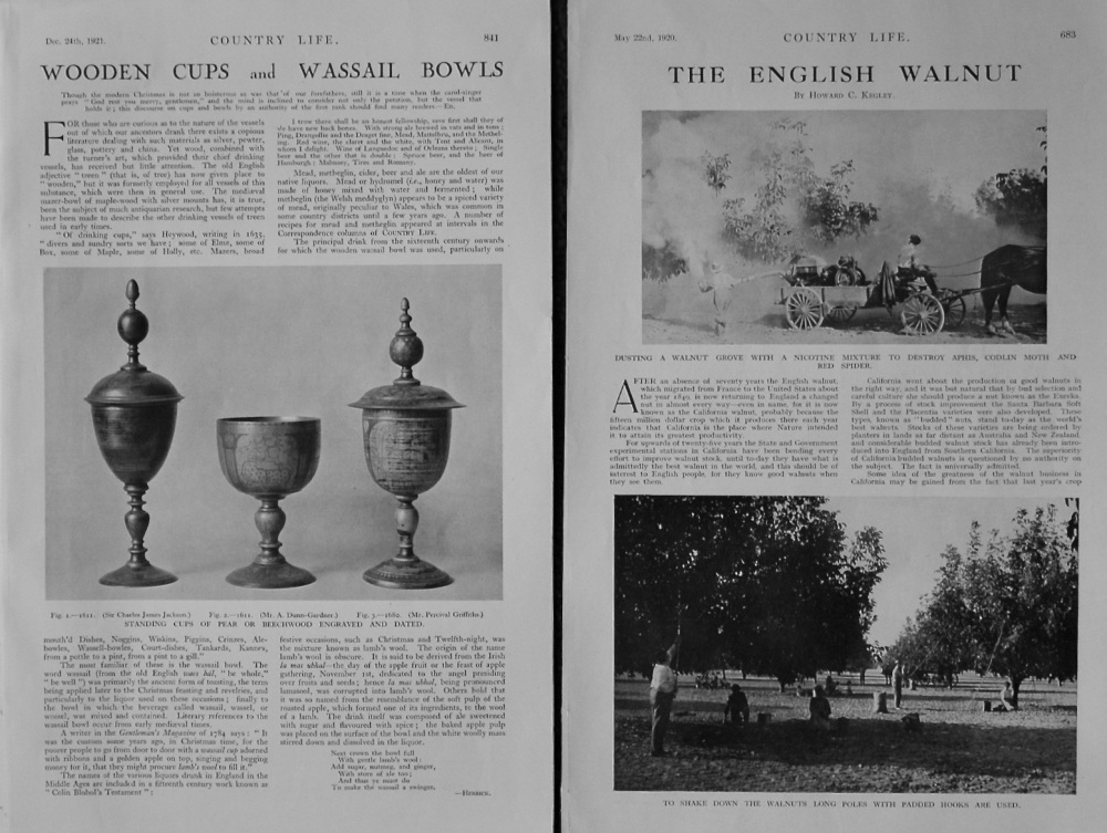 "Wooden Cups and Wassail Bowls." and "The English Walnut."