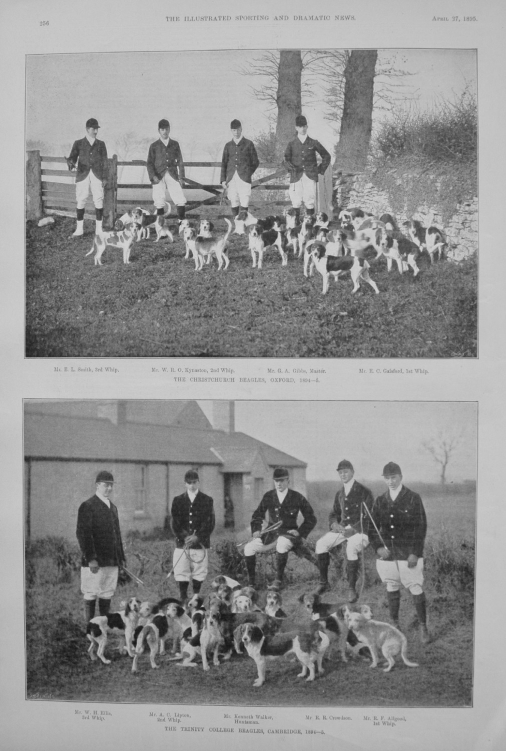 Trinity College Beagles, Cambridge, 1894-5.