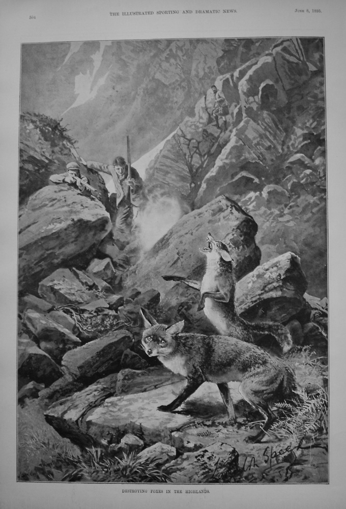 Destroying Foxes in the Highlands. 1895