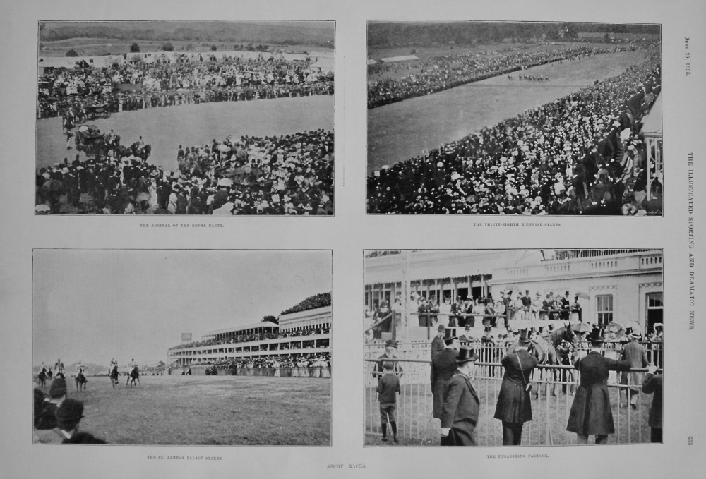 Ascot Races. 1895