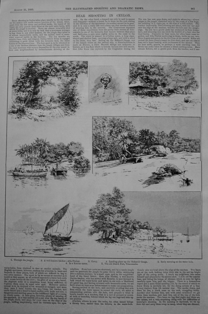 Bear Shooting in Ceylon. 1895