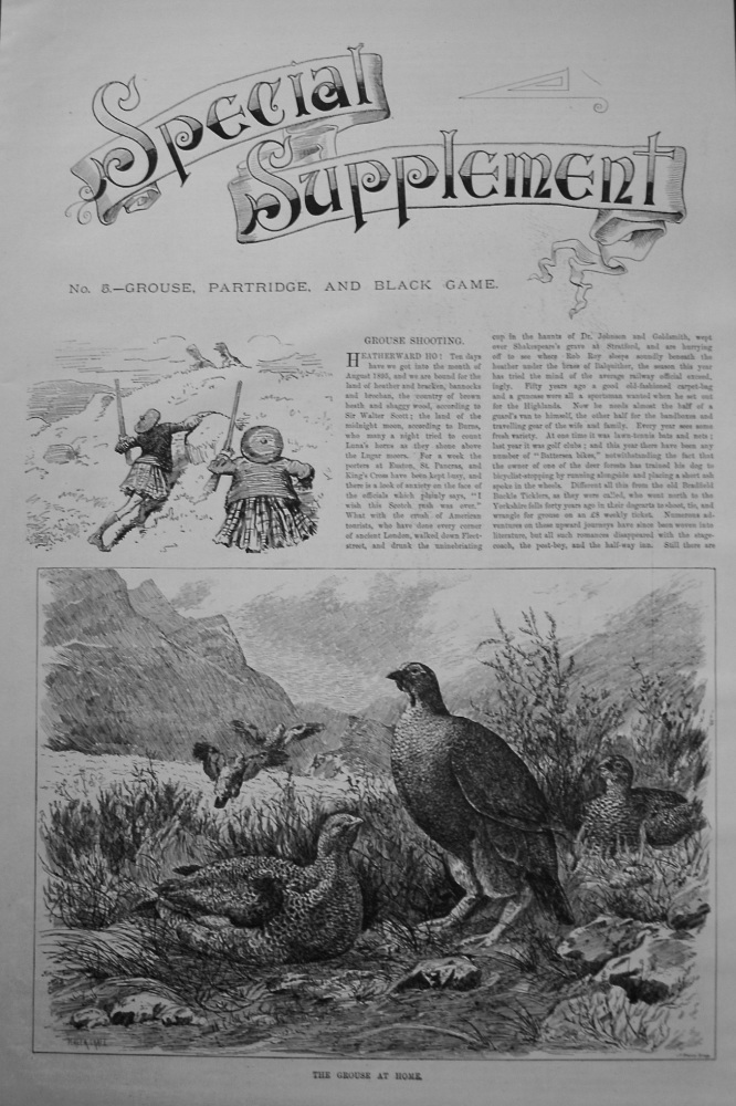 Grouse, Partridge, and Black Game. (Special Supplement) 1895