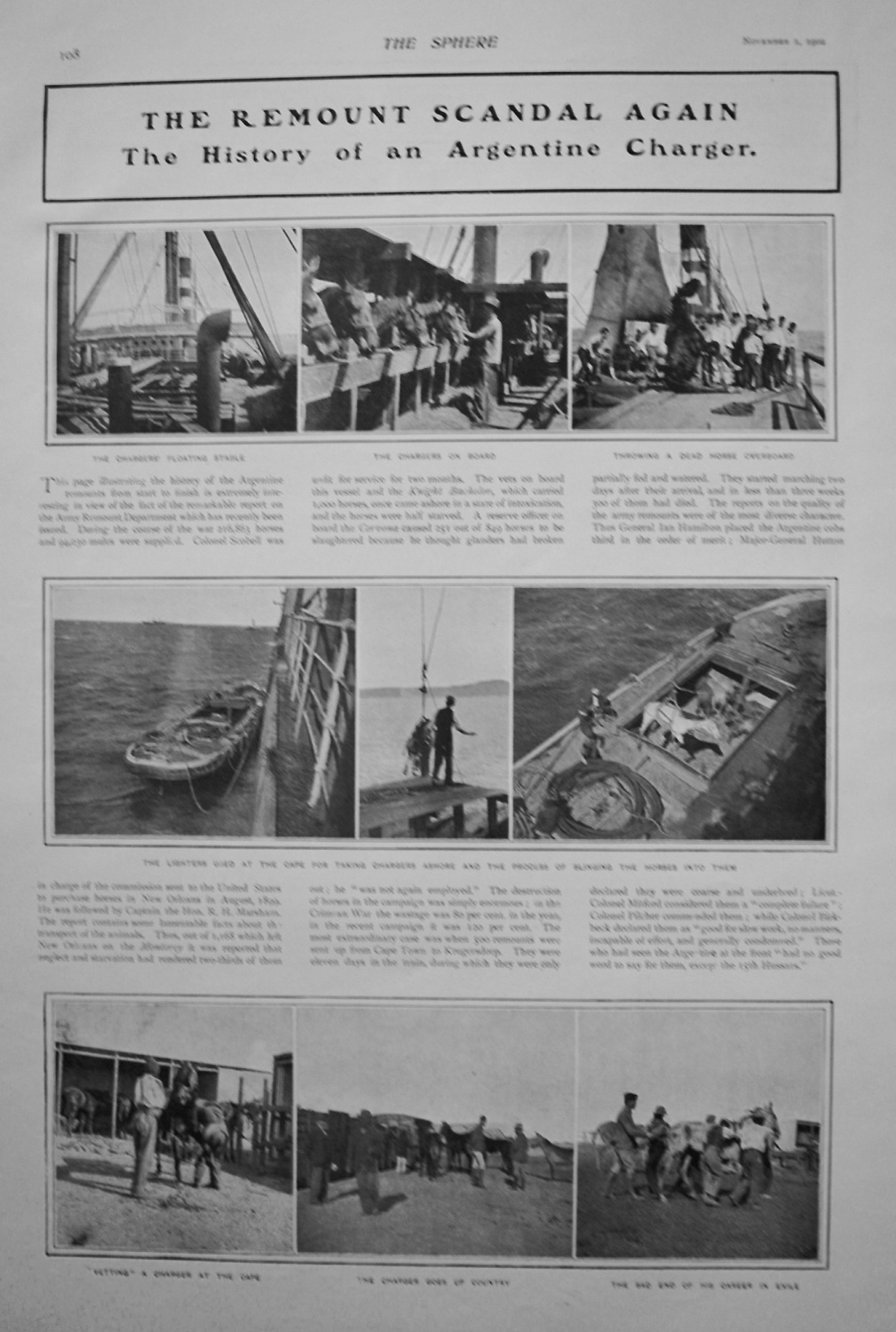 The Remount Scandal Again - The History of an Argentine Charger. 1902