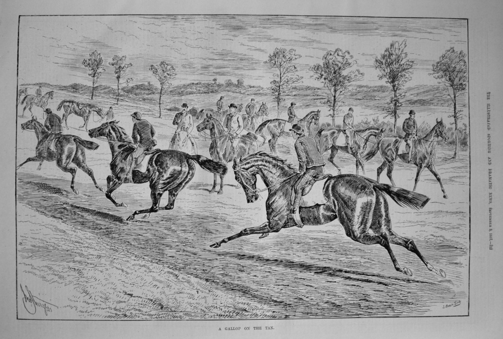 A Gallop on the Tan. 1887