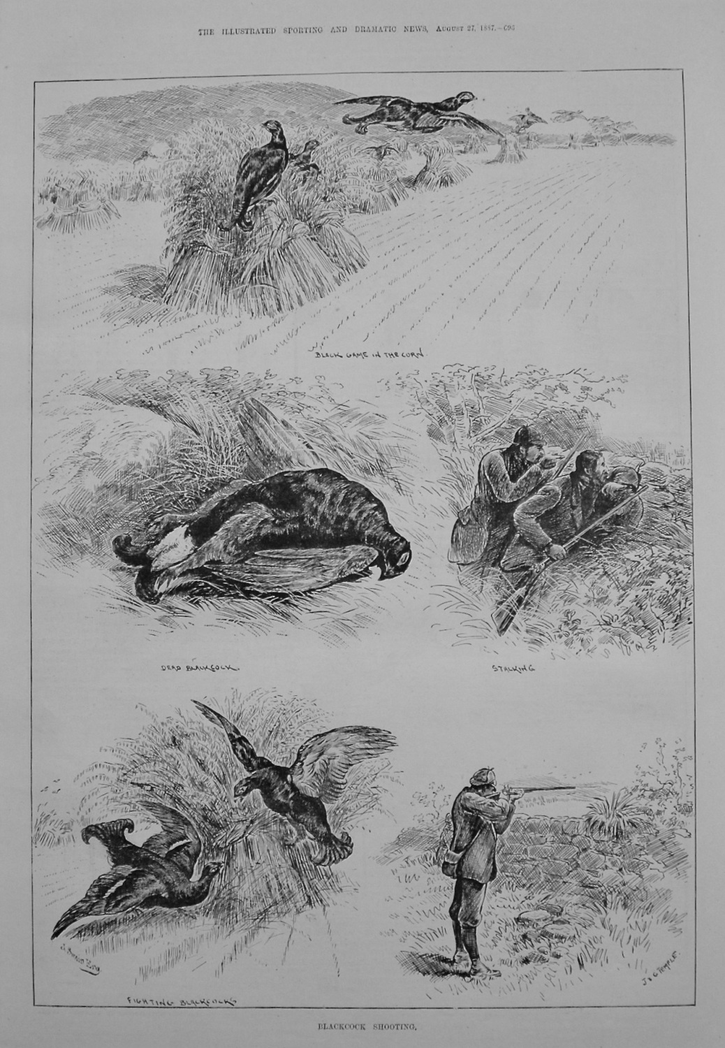 Blackcock Shooting. 1887