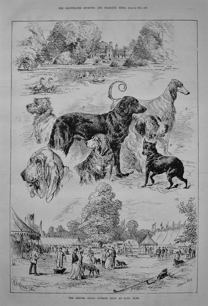 The Kennel Club's Summer Show at Barn Elms. 1887